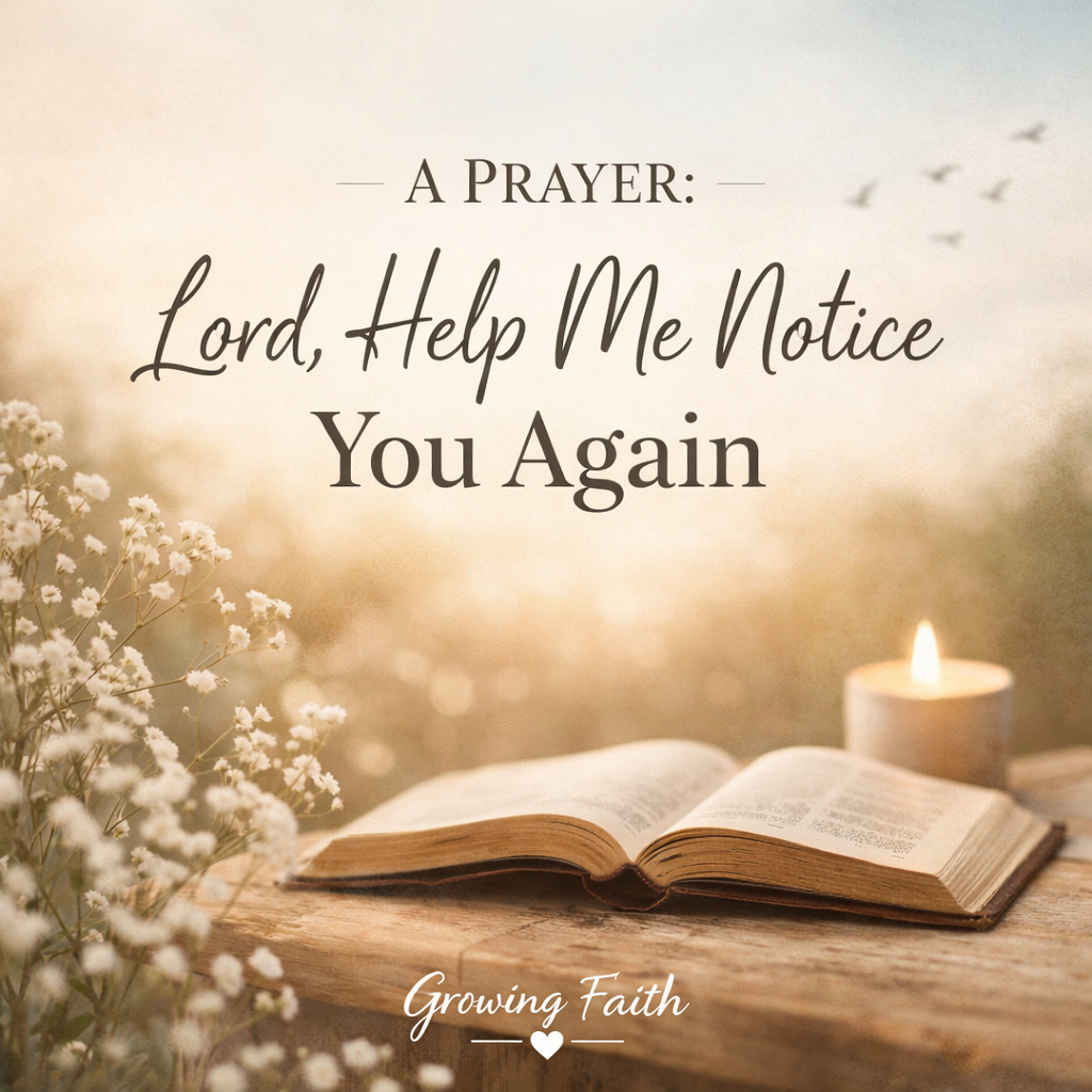 A Prayer: Lord, Help Me Notice You Again