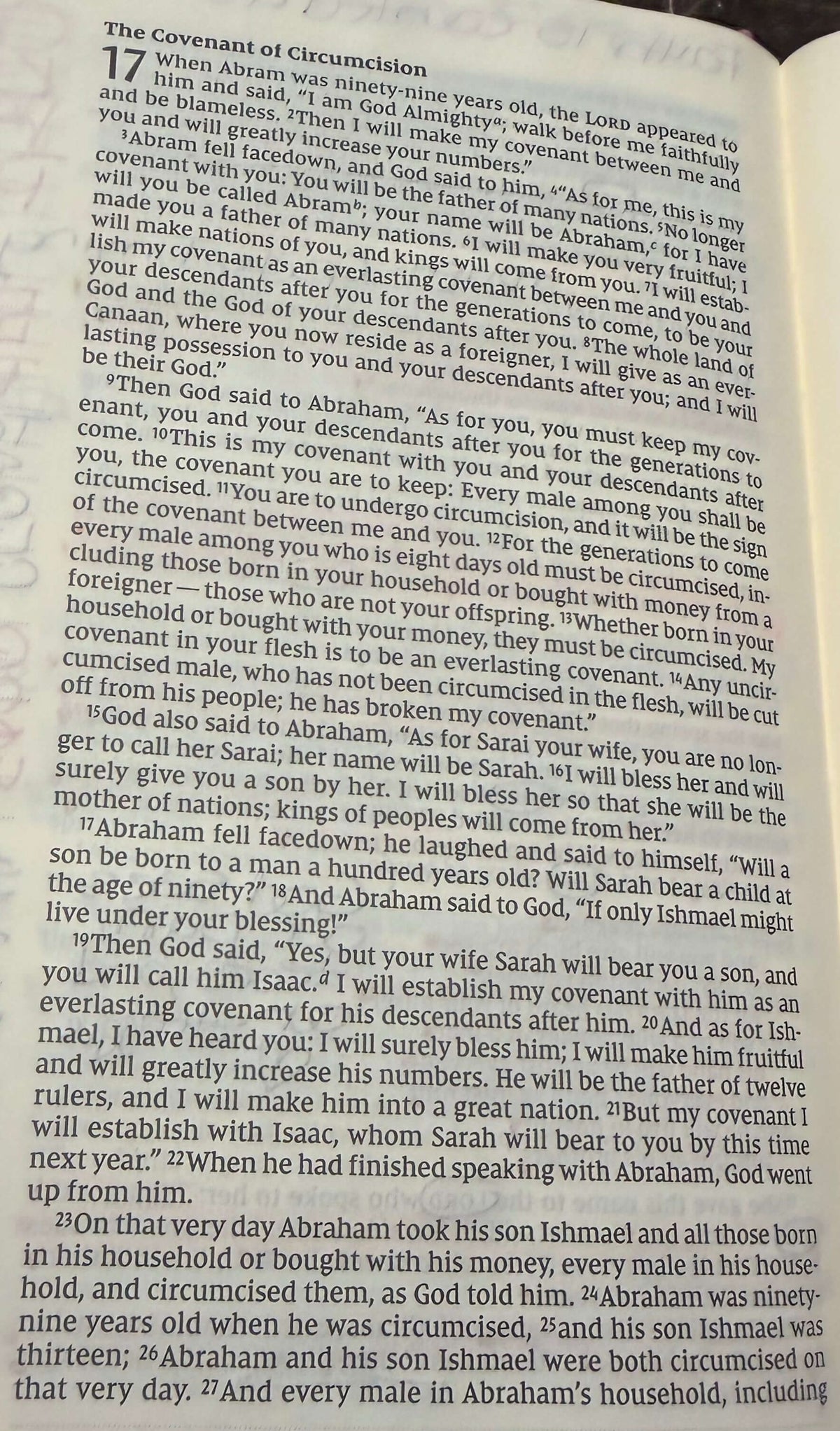 Genesis Chapter 17