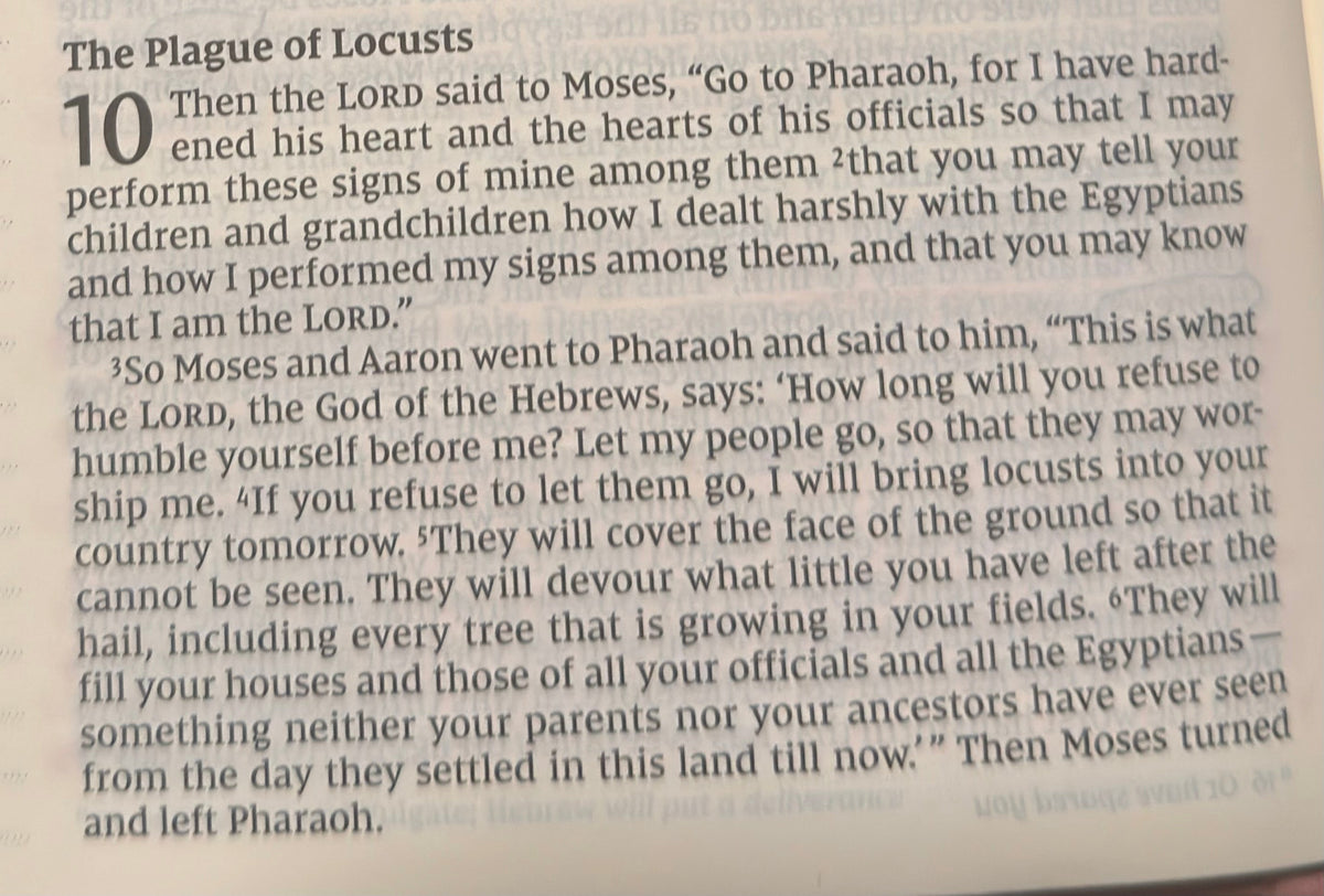 Exodus 10 — When Pride Refuses to Let Go