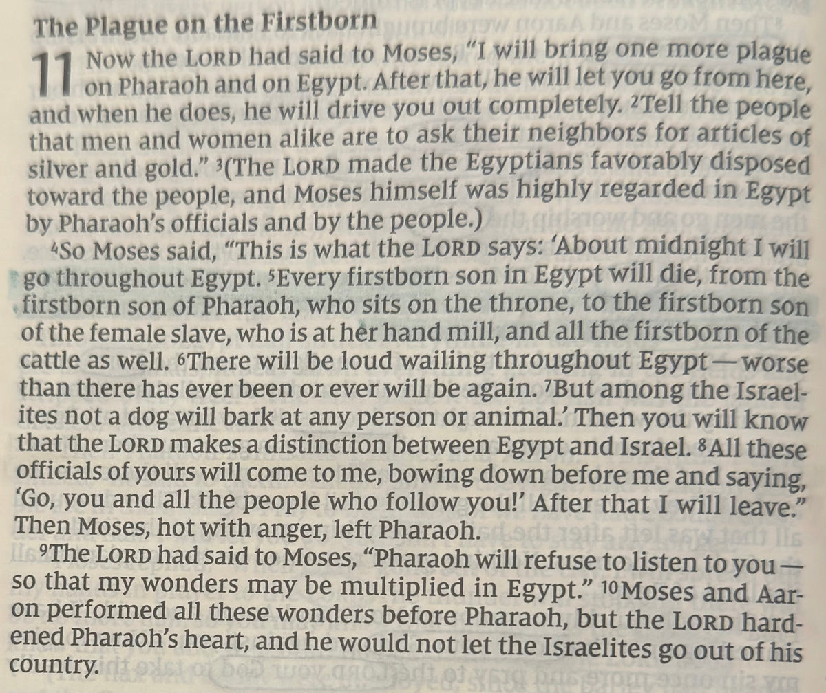 Exodus 11 — The Final Warning