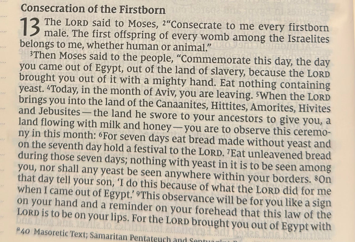 Exodus 13 — Remember What God Has Done