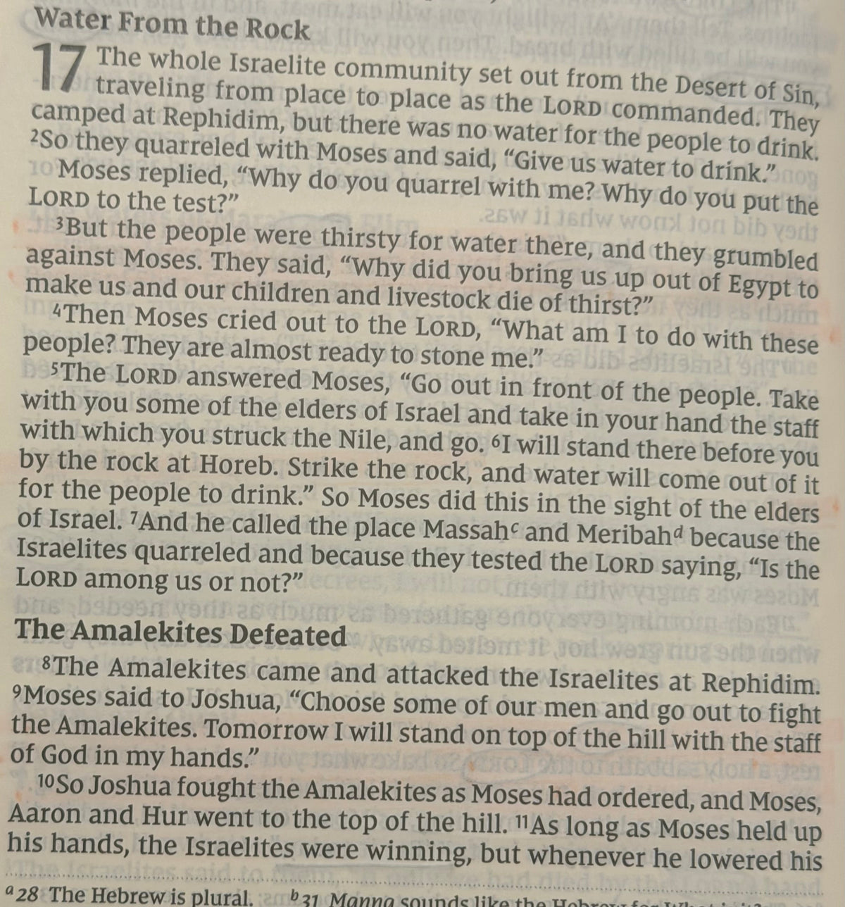 Exodus 17 — Water From the Rock & Victory Over Amalek