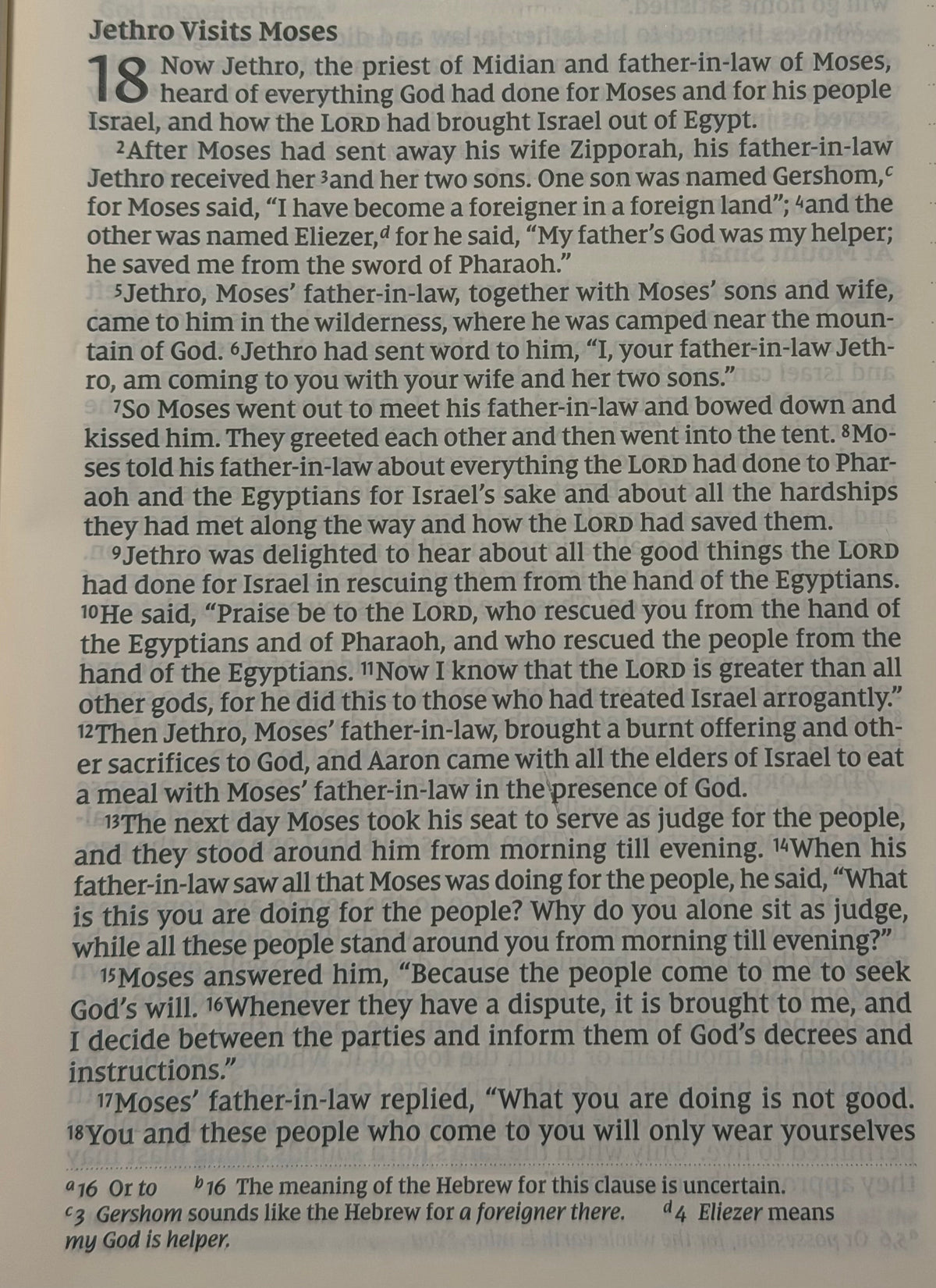 Exodus 18 — Wisdom, Delegation & Godly Counsel
