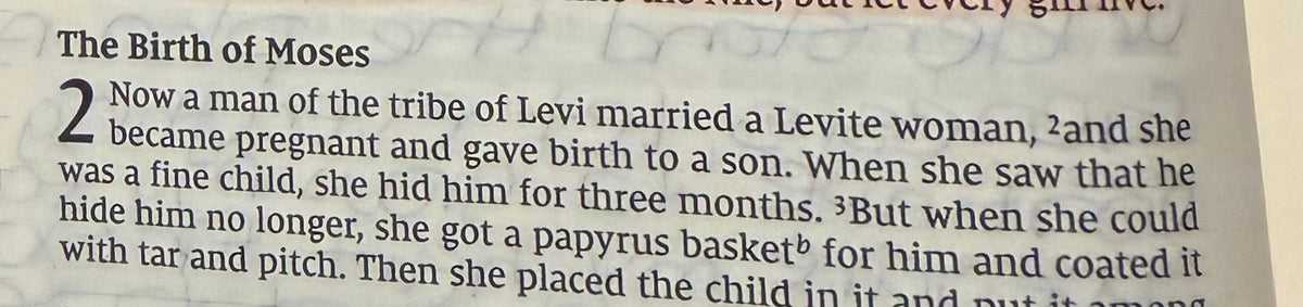 Exodus 2 — God Is Working Behind the Scenes