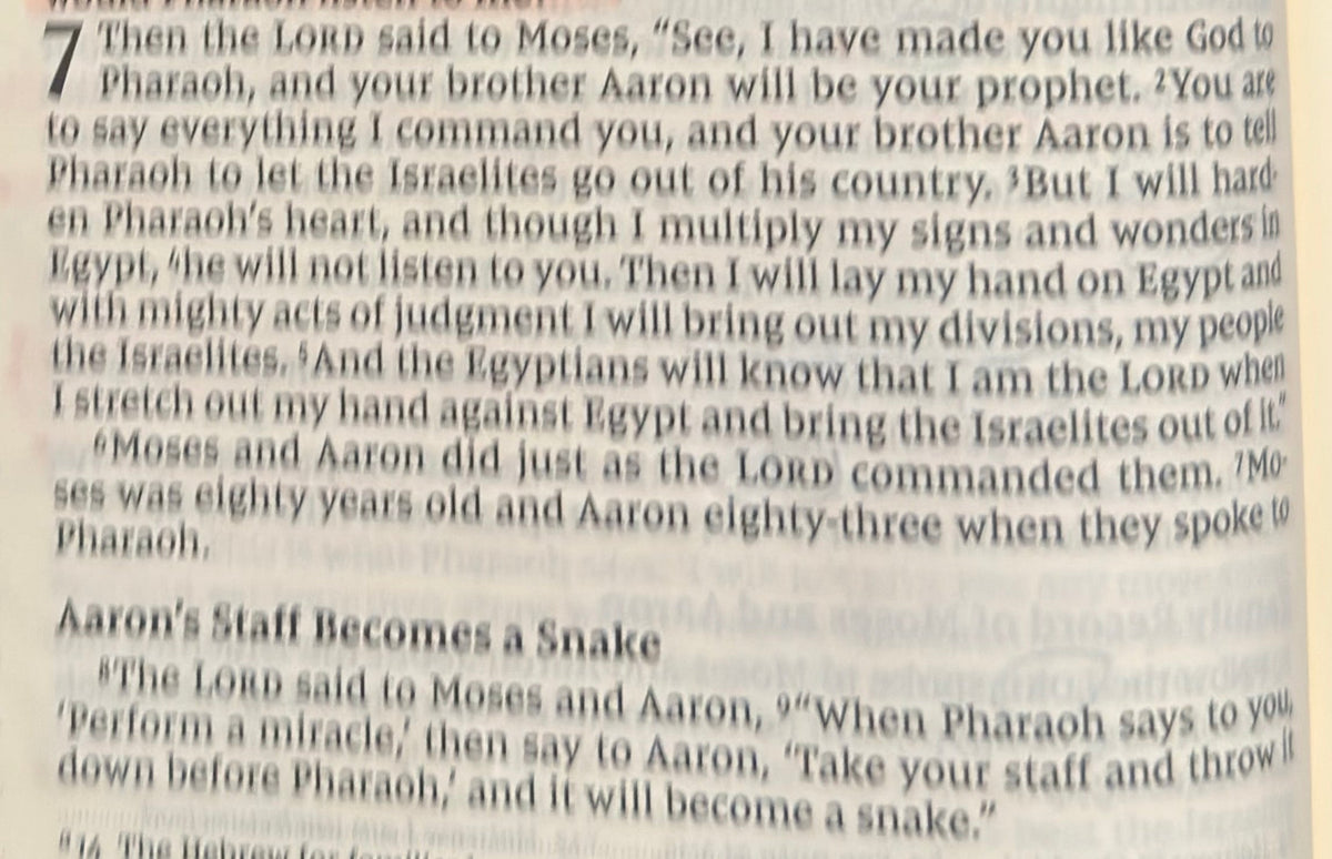 Exodus 7 — God Shows His Power