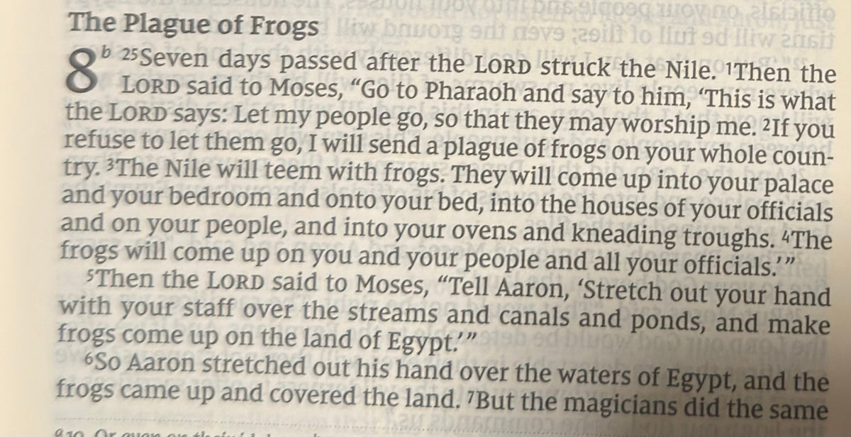 Exodus 8 — God Shows His Power