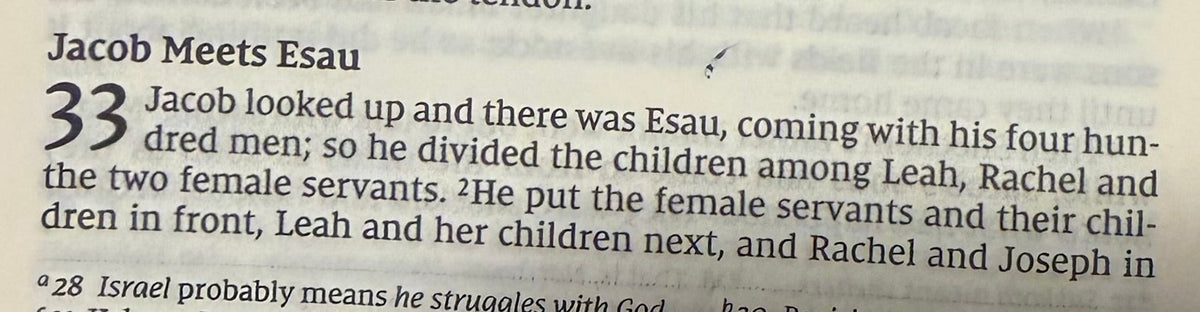 Genesis 33 — Jacob and Esau Reunite