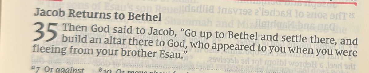 Genesis 35 — God Calls Jacob Back to Bethel