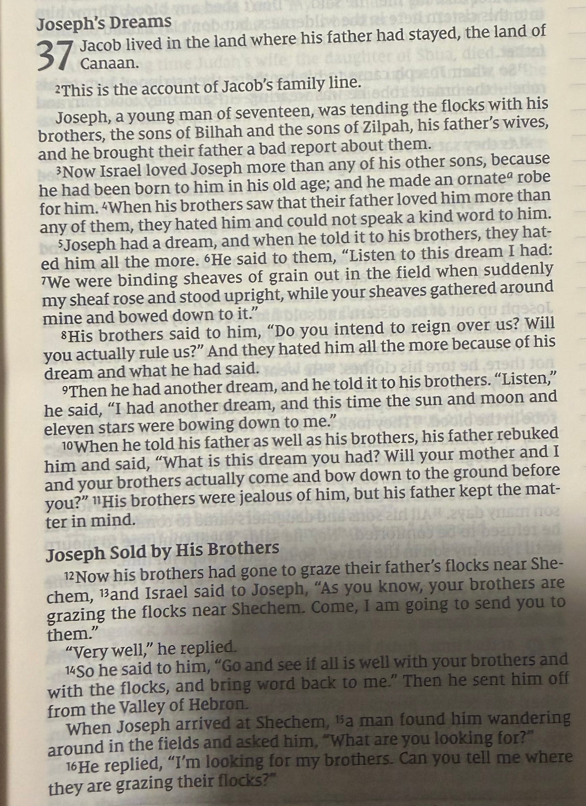 Genesis 37 — Joseph’s Dreams & Betrayal
