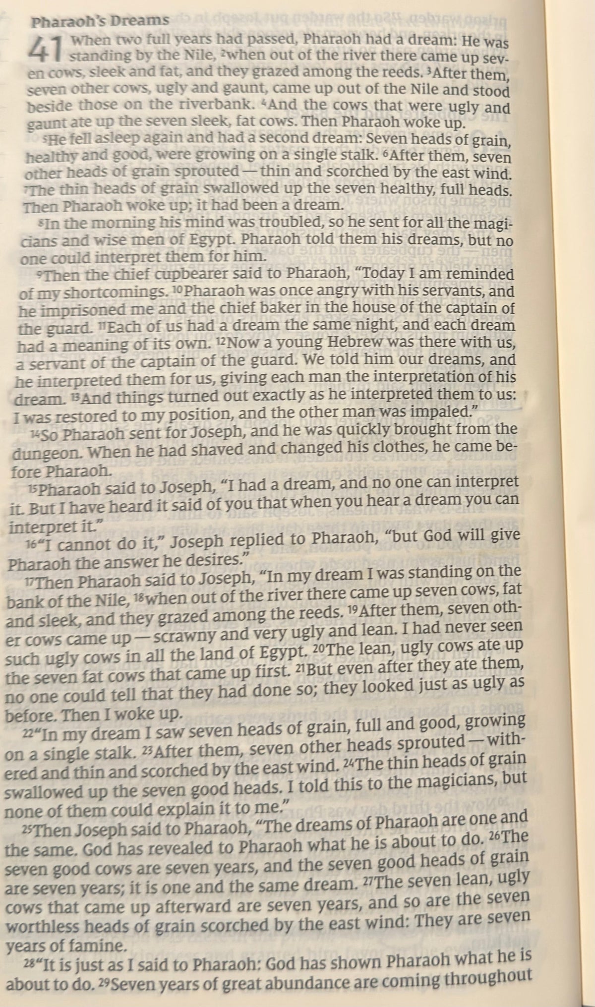Genesis 41 — From Prison to the Palace