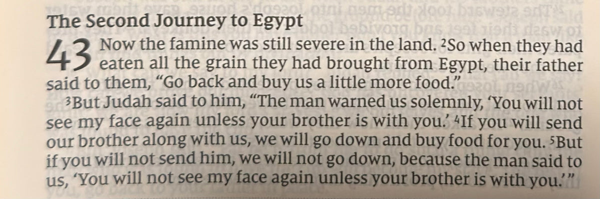 Genesis 43 — The Brothers Return to Egypt