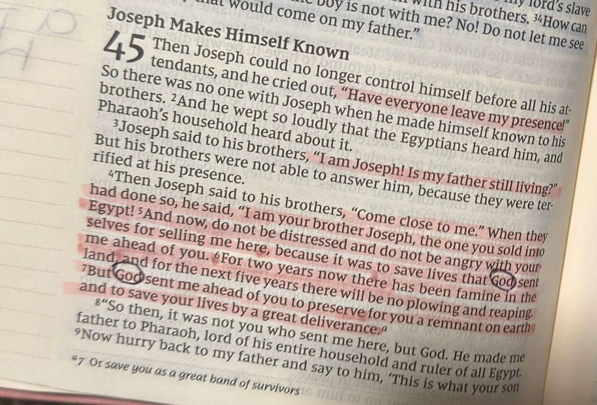 Genesis 45 — Joseph Reveals Himself to His Brothers