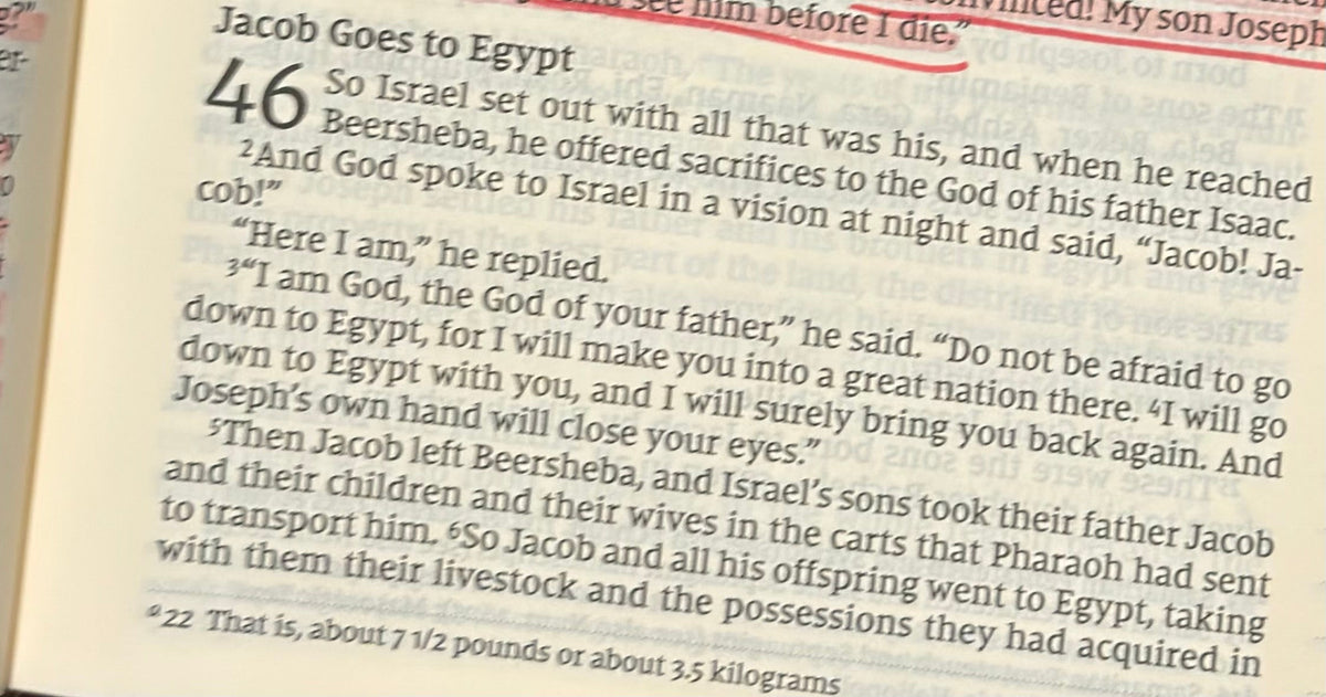 Genesis 46 — God Goes With You Into the Unknown