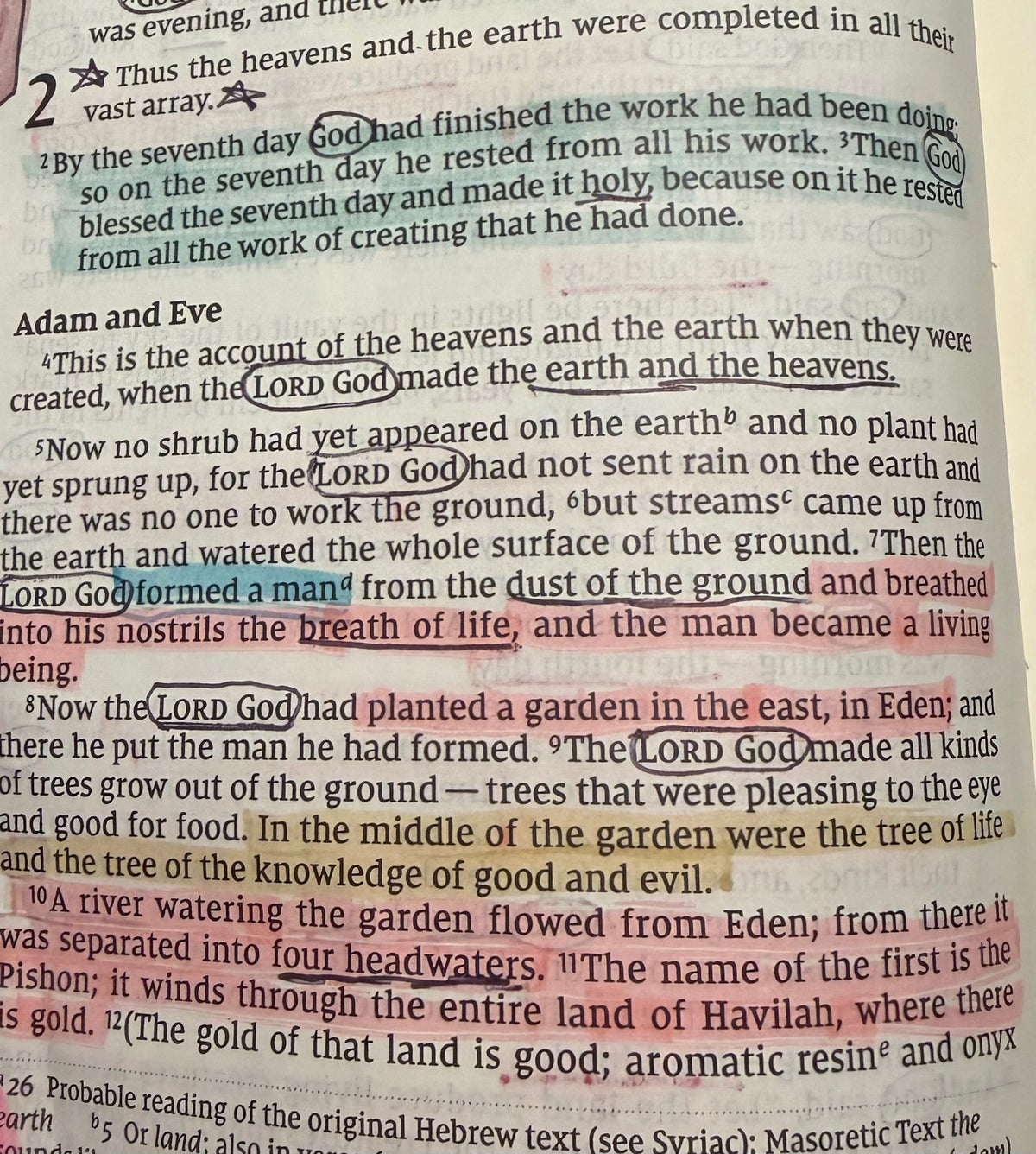 Genesis Chapter 2