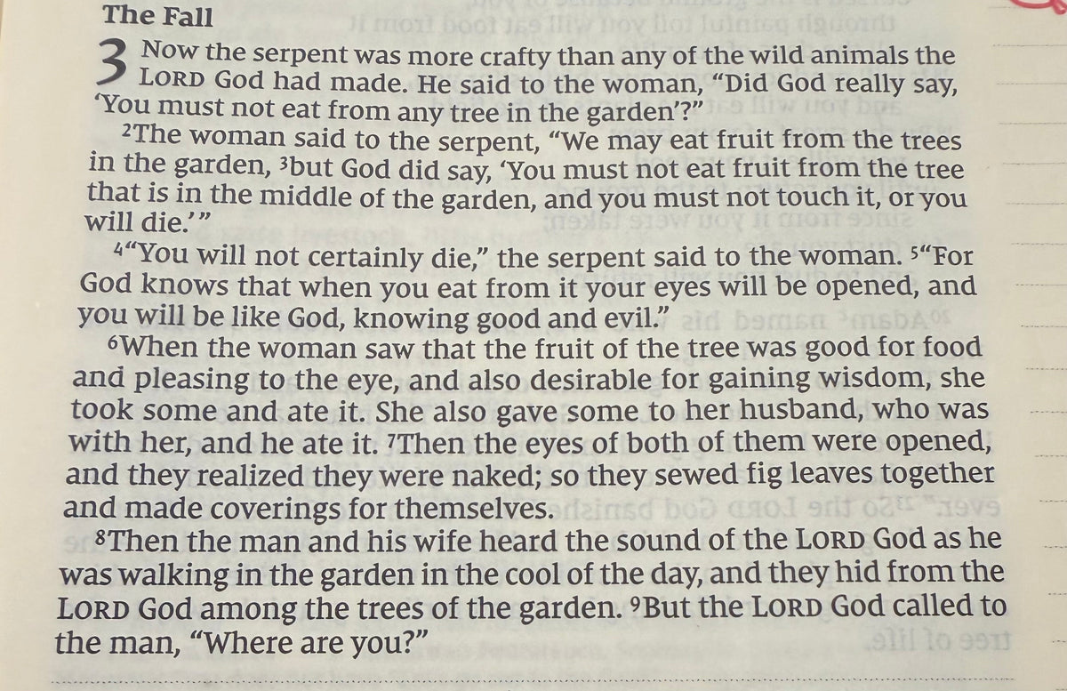 Genesis Chapter 3