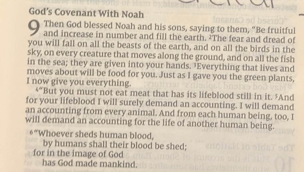 Genesis Chapter 9