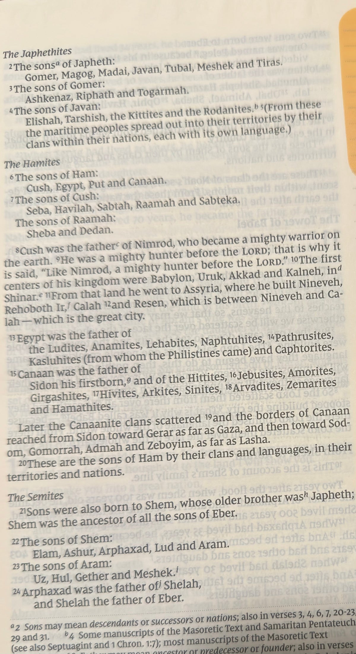 Genesis Chapter 10
