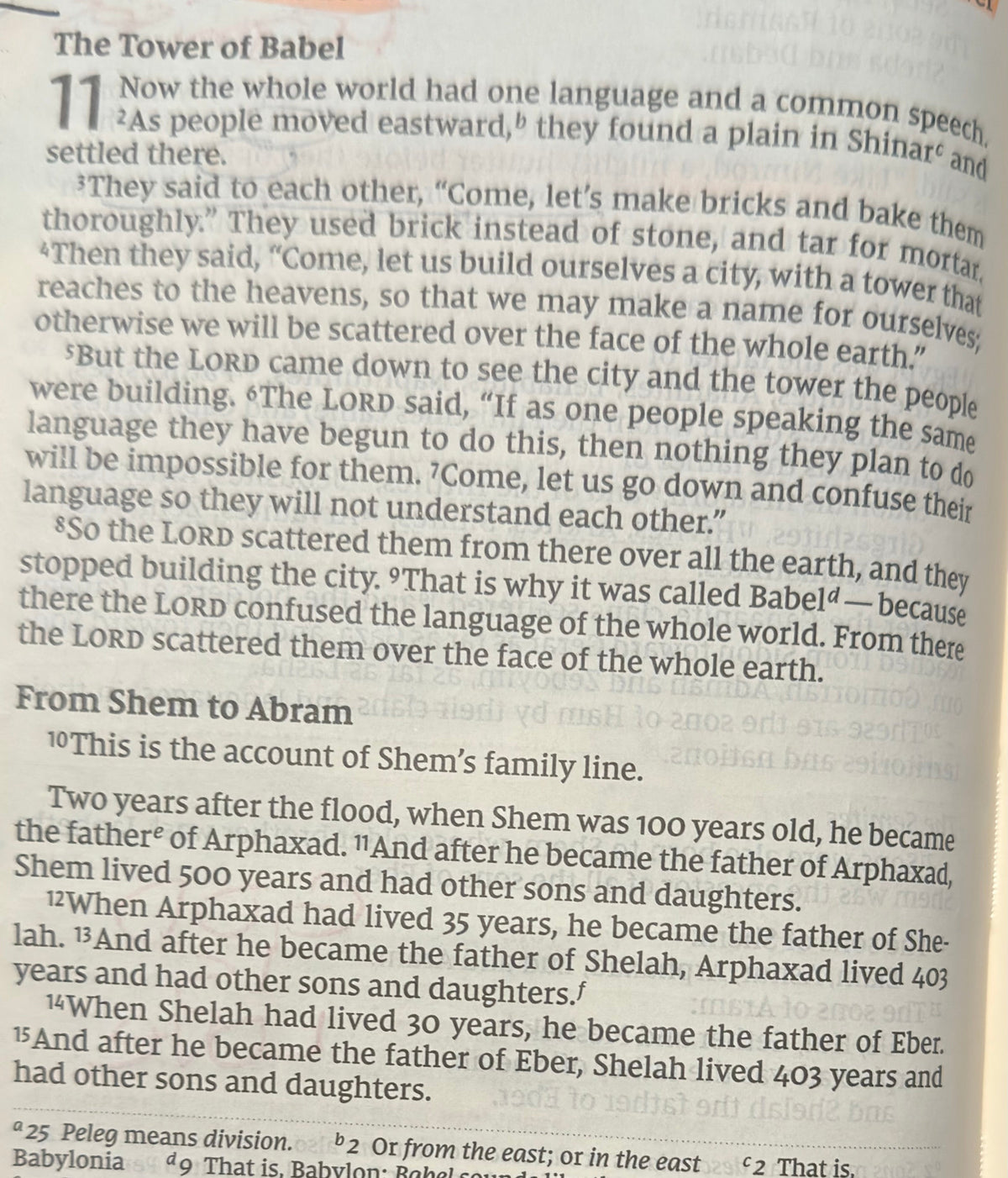 Genesis Chapter 11