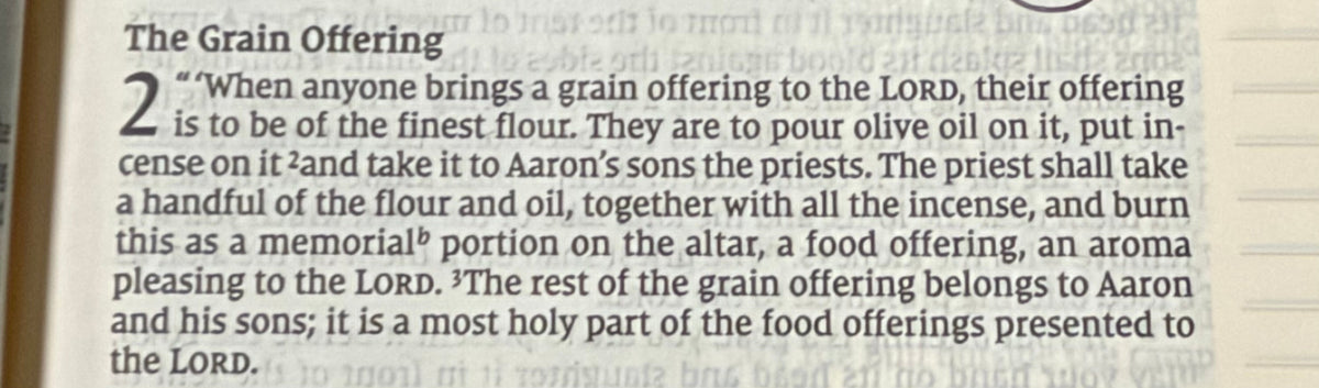 Leviticus Chapter 2 — Giving God Our Best