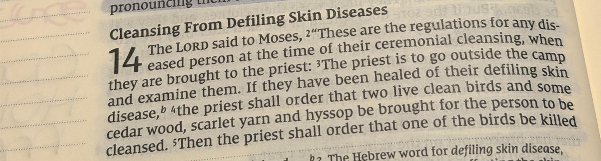 Leviticus 14 God Is a God of Restoration