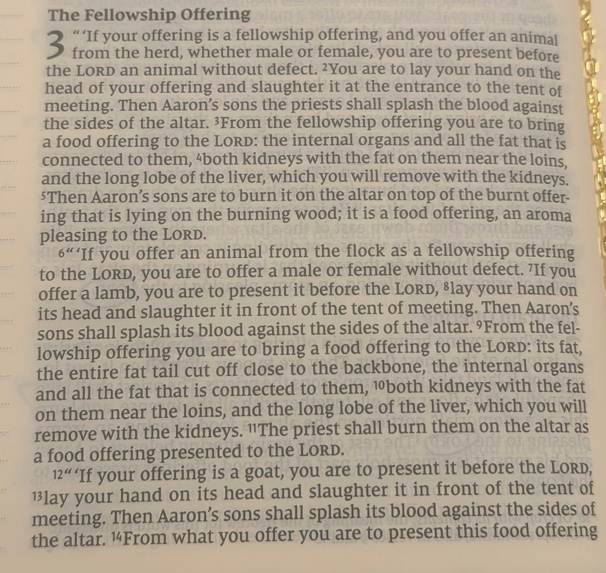 Leviticus Chapter 3 — The Fellowship Offering