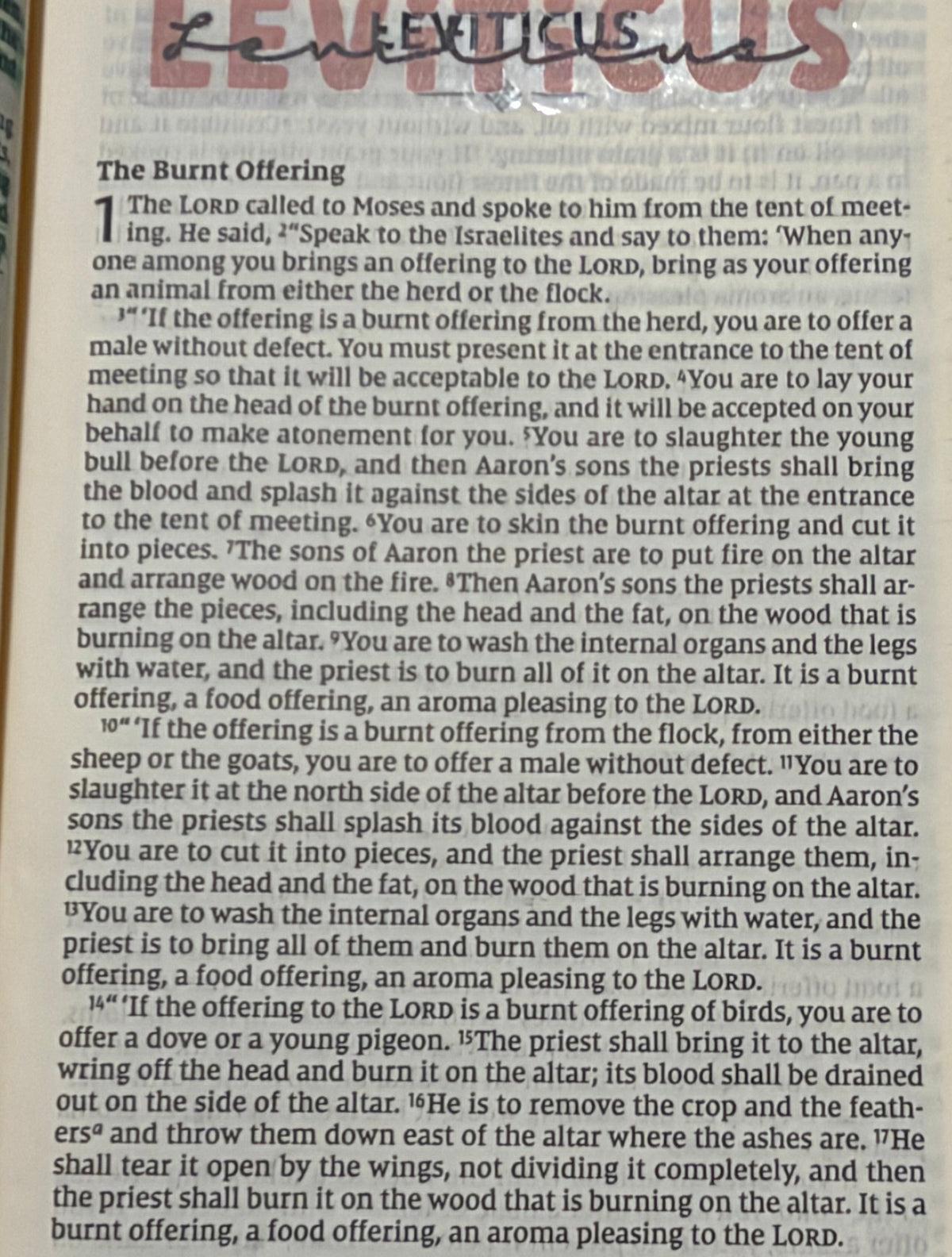 Leviticus Chapter 1 – The Burnt Offering