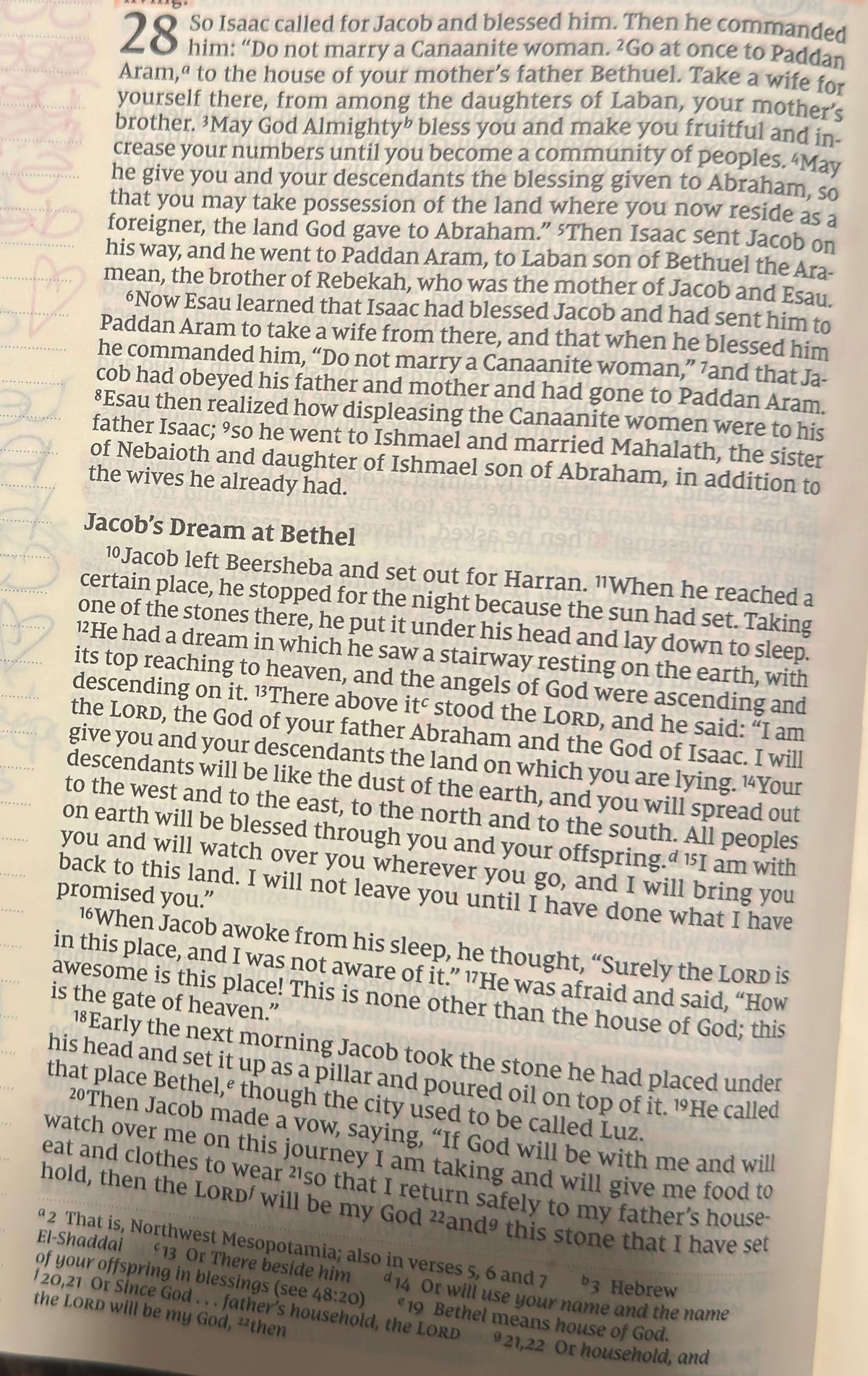Genesis Chapter 28