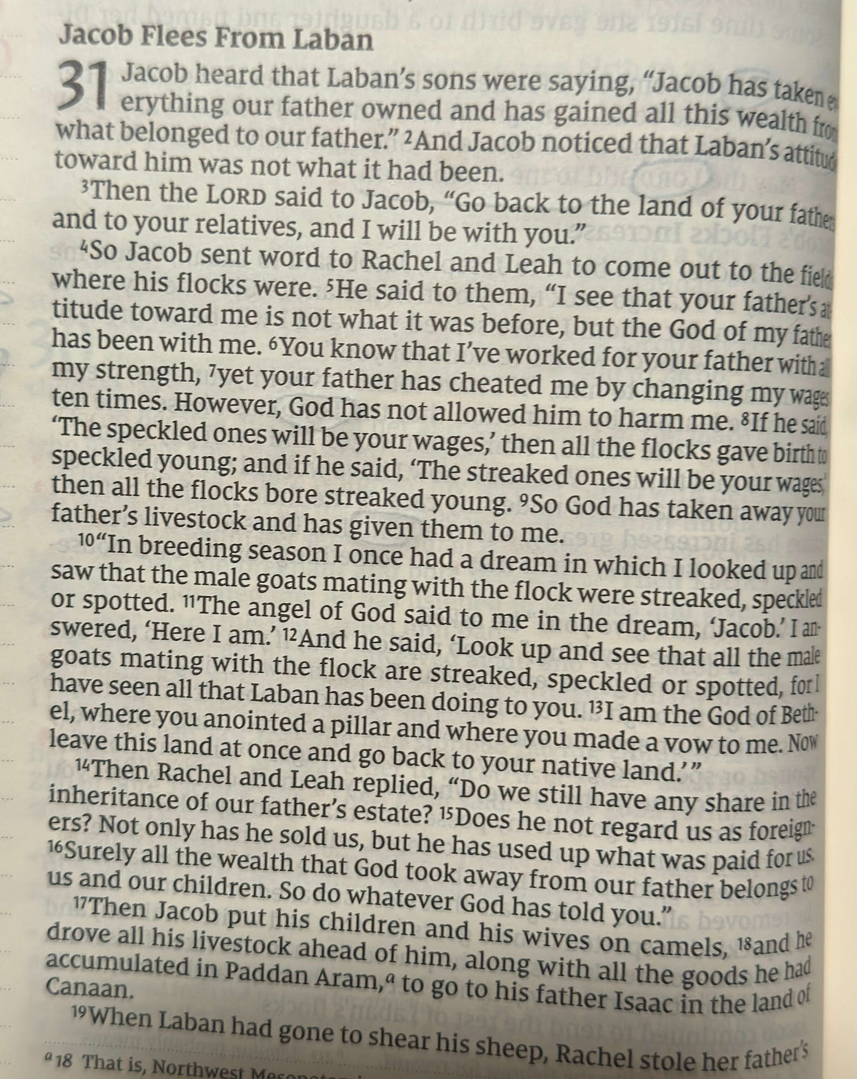 Genesis Chapter 31 Explained: Jacob Leaves Laban & Trust God