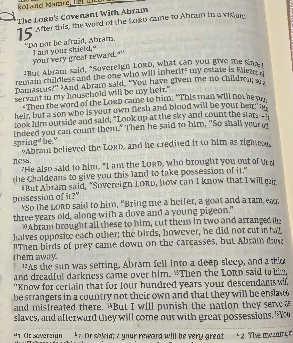 Genesis Chapter 15